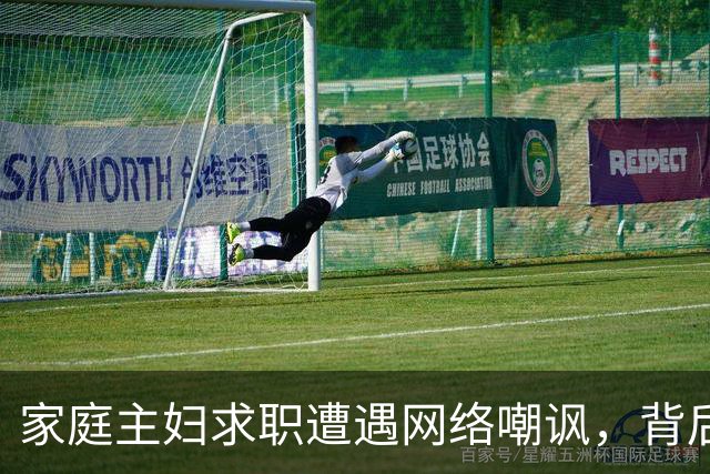 家庭主妇求职遭遇网络嘲讽，背后反映何种社会现象？